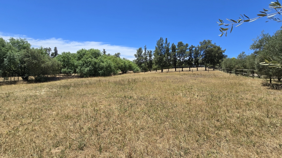 Commercial Property for Sale in Wellington Rural Western Cape